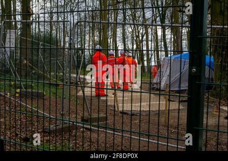 Aylesbury Valle, Großbritannien. April 2021. HS2 waren zurück in den alten Wäldern von Jones Hill Wood heute fällten Bäume. Umweltaktivisten, die versuchen, Jones Hill Wood zu schützen, ergreifen rechtliche Schritte gegen Natural England, das die Lizenz an HS2 Fell Jones Hill Wood erteilt hat, obwohl es seltene Barbaren Fledermäuse im Holz hat. Die umstrittene und massiv über den Budget verfegte High Speed 2-Bahnverbindung von London nach Birmingham macht eine riesige Narbe über die Chilterns, die eine AONB ist. Quelle: Maureen McLean/Alamy Stockfoto