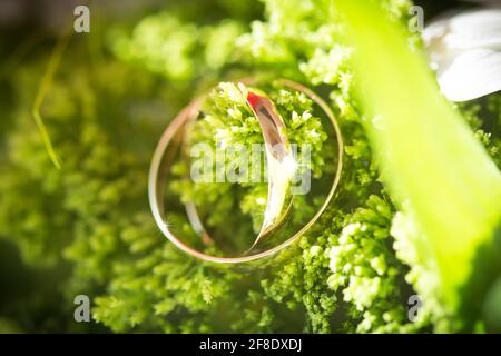 Nahaufnahme eines Paares Eheringe auf einer Blume Stockfoto