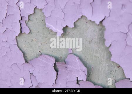 Rissige violette Ölfarbe auf der veralterten Metalloberfläche. Coole Grunge-Knistern-Textur. Gebrochenes Muster. Die Farbe blätterte von der Wand ab. Stockfoto