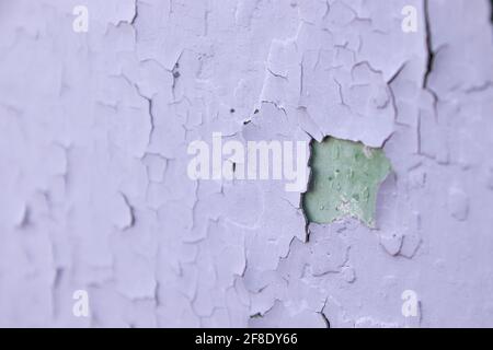 Rissige violette Ölfarbe auf der veralterten Metalloberfläche. Coole Grunge-Knistern-Textur. Gebrochenes Muster. Die Farbe blätterte von der Wand ab. Stockfoto