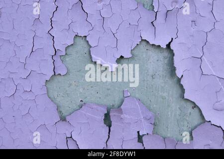 Rissige violette Ölfarbe auf der veralterten Metalloberfläche. Coole Grunge-Knistern-Textur. Gebrochenes Muster. Die Farbe blätterte von der Wand ab. Stockfoto