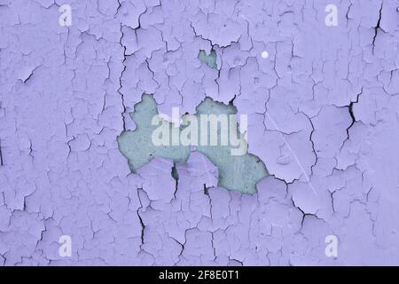 Rissige violette Ölfarbe auf der veralterten Metalloberfläche. Coole Grunge-Knistern-Textur. Gebrochenes Muster. Die Farbe blätterte von der Wand ab. Stockfoto