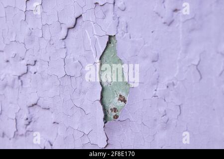 Rissige violette Ölfarbe auf der veralterten Metalloberfläche. Coole Grunge-Knistern-Textur. Gebrochenes Muster. Die Farbe blätterte von der Wand ab. Stockfoto