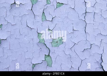 Rissige violette Ölfarbe auf der veralterten Metalloberfläche. Coole Grunge-Knistern-Textur. Gebrochenes Muster. Die Farbe blätterte von der Wand ab. Stockfoto
