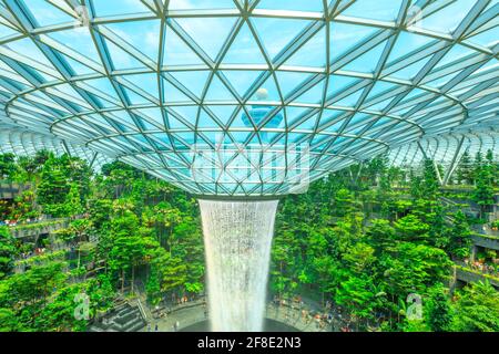 Singapur - 8. Aug 2019: Details zu Rain Vortex und der verglasten Kuppel, dem größten Indoor-Wasserfall der Welt, umgeben von einem vierstöckigen terrassenförmigen Wald Stockfoto