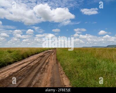 Serengeti-Nationalpark, Tansania, Afrika - 29. Februar 2020: Unbefestigte Straße durch den Serengeti-Nationalpark Stockfoto