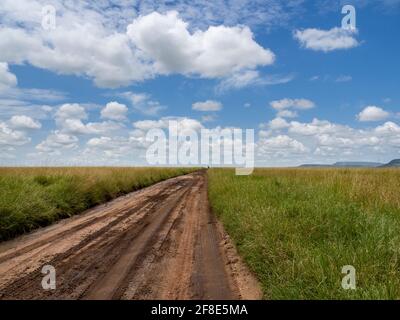 Serengeti-Nationalpark, Tansania, Afrika - 29. Februar 2020: Unbefestigte Straße durch den Serengeti-Nationalpark Stockfoto