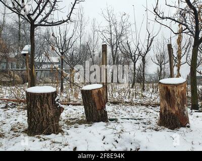 Schneebedeckte Gipfel, klarer blauer Himmel, karge Berge mit gewundenen Flüssen – Kashmir ist malerisch. Landschaftliche Schönheit. Stockfoto