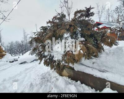 Schneebedeckte Gipfel, klarer blauer Himmel, karge Berge mit gewundenen Flüssen – Kashmir ist malerisch. Landschaftliche Schönheit. Stockfoto