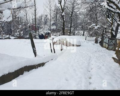 Schneebedeckte Gipfel, klarer blauer Himmel, karge Berge mit gewundenen Flüssen – Kashmir ist malerisch. Landschaftliche Schönheit. Stockfoto