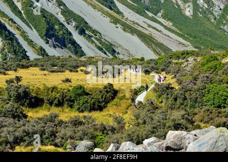 Bergsteiger betrachten das Gebiet als die beste Kletterregion in Australasien, während weniger erfahrene Abenteurer mit dem Berg sehr zufrieden sind Stockfoto