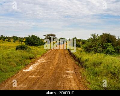 Serengeti-Nationalpark, Tansania, Afrika - 29. Februar 2020: Safari-Jeeps parkten auf unbefestigten Straßen im Serengeti-Nationalpark Stockfoto