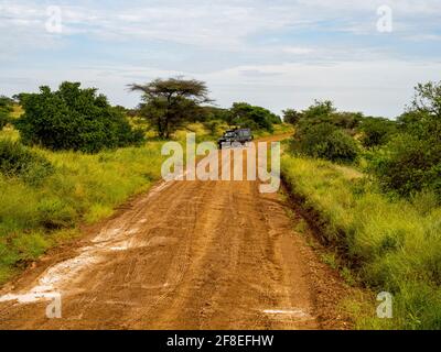 Serengeti-Nationalpark, Tansania, Afrika - 29. Februar 2020: Safari-Jeeps parkten auf unbefestigten Straßen im Serengeti-Nationalpark Stockfoto