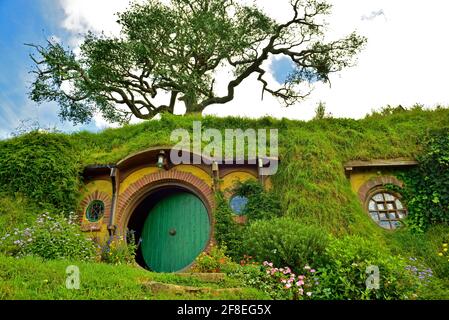 Eine hoch aufragende Eiche ragt aus dem Sackende – obwohl sie gefälscht ist, ist sie immer noch sehr majestätisch in ihrer Statur genommen @Hobbiton Movie Set, Hamilton, Neuseeland Stockfoto