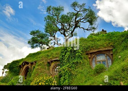 Ich glaubte nicht, dass dies ein gefälschter Baum auf dem Hintergrund @Hobbiton Movie Set, Hamilton, Neuseeland Stockfoto