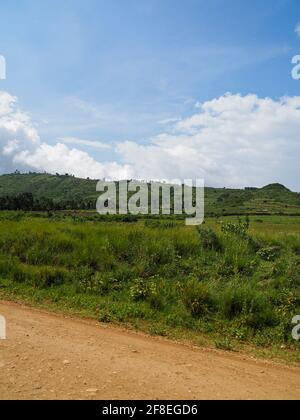 Tansania, Afrika - 27. Februar 2020: Üppige grüne Landschaft entlang einer unbefestigten Straße in Tansania Stockfoto