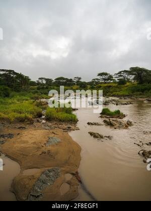 Serengeti-Nationalpark, Tansania, Afrika - 27. Februar 2020: Fluss auf der anderen Straßenseite im Serengeti-Nationalpark, Tansania, Afrika Stockfoto