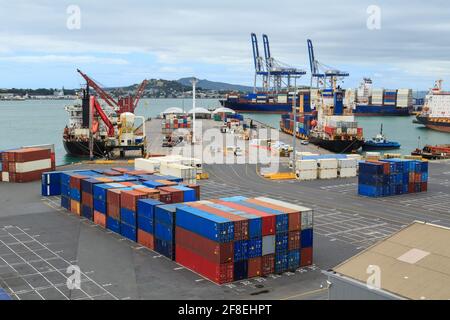Der Hafen von Auckland, Neuseeland. Blick auf die Jellicoe Wharf und die Krane am Fergusson Container Terminal Stockfoto