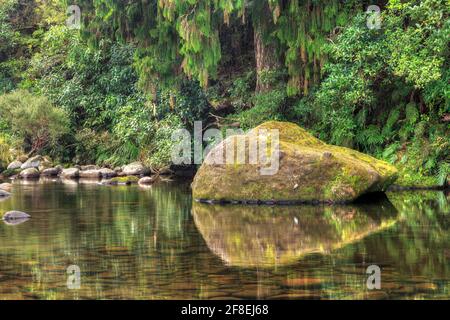 Ein Fluss im neuseeländischen Wald. Ein riesiger moosiger Felsbrocken spiegelt sich im langsam bewegten Wasser wider Stockfoto