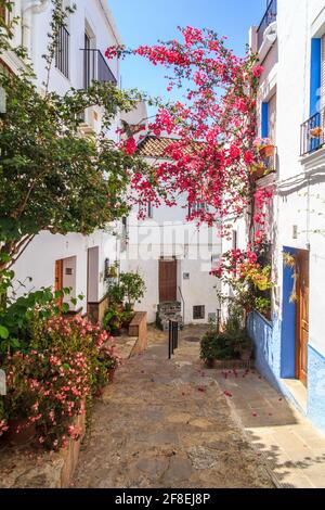 Gasse in der Altstadt von Ubrique Stadt, Provinz Cadiz, Spanien Stockfoto