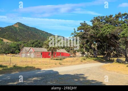 Ein paar alte Holzschälchen neben einer Schotterstraße auf der Coromandel Peninsula, Neuseeland Stockfoto