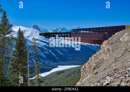 Der Glacier Skywalk, die größte freitragende Plattform der USA, liegt über einem tiefen Canyon auf halbem Weg zwischen den Nationalparks Jasper und Banff Stockfoto