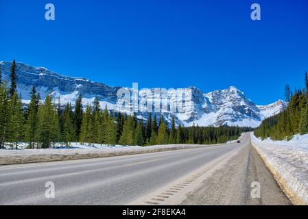 Fahren Sie auf der Icefield Parkway Road in Richtung @Banff und Jasper National Park, CA Stockfoto