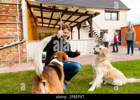 Junger Mann oder Vater, der mit seinen Hunden auf einer Wiese mit einem Stock spielt, die Familie ist im Hintergrund Stockfoto