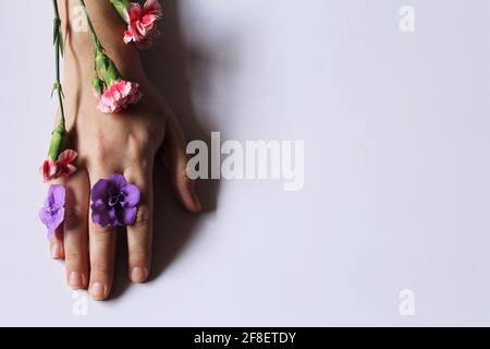 Die Hände der Frau mit Blumen, die durch ihre Finger verwickelt sind. Nahaufnahme schöne anspruchsvolle weibliche Hände mit Blumen auf weißem Hintergrund Romantik-Konzept Stockfoto