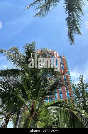 Portofino Tower ist ein Wolkenkratzer in Miami Beach, Florida. South Beach. Hochhaus versteckt hinter Palmen Stockfoto