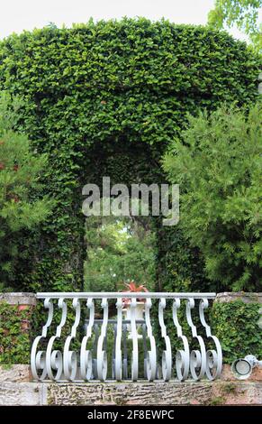 Steinbogen mit grünen Efeu-Büschen bedeckt. Bogen im Grünen mit einem weißen Geländer Zaun Balkon in einem Garten. Selektiver Fokus, weicher Fokus. Stockfoto