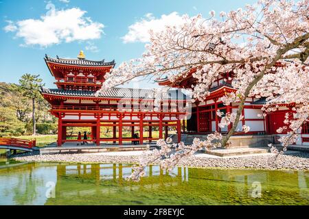 Byodo-in Tempel am Frühling in Uji, Kyoto, Japan Stockfoto