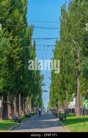 Grüne Gasse am Boulevard von Taras Schewtschenko in Kiew, Ukraine Stockfoto