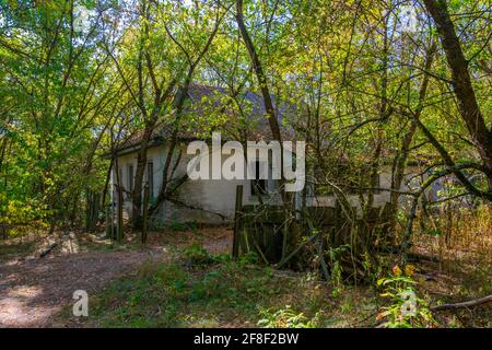 Die Natur übernimmt ein verlassenes Dorf im Tschernobyl Ausschlusszone in der Ukraine Stockfoto