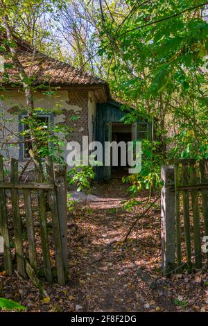 Die Natur übernimmt ein verlassenes Dorf im Tschernobyl Ausschlusszone in der Ukraine Stockfoto