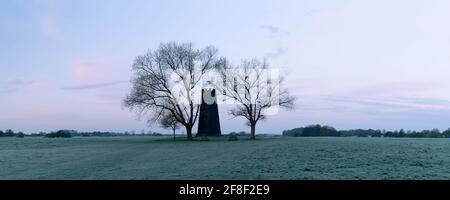 Black Mill, ein lokales Wahrzeichen, flankiert von blattlosen Bäumen bei Sonnenaufgang auf dem Westwood im frühen Frühjahr in Beverley, Yorkshire, Großbritannien. Stockfoto