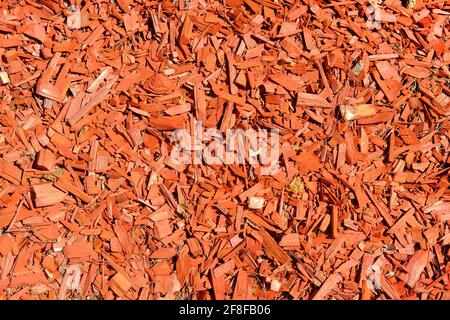 Red Wood Chips Hintergrund und Textur, Nahaufnahme. Holzsägemehl an sonnigen Tagen. Stockfoto