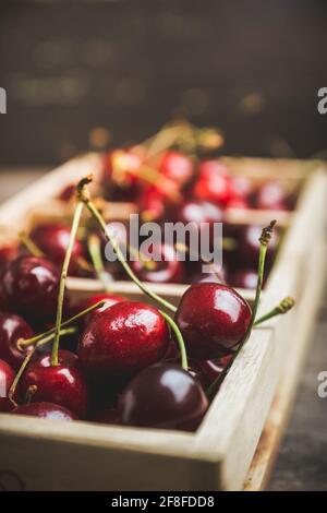 Reife und saftige Kirschen in Holzkiste auf dunklem rustikalem Hintergrund. Selektiver Fokus. Geringe Schärfentiefe. Stockfoto