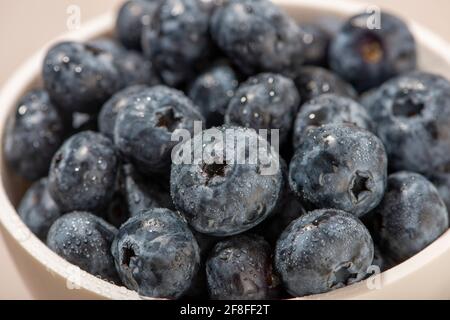 Blaubeeren aus der Nähe. Makrofotografie. Selektiver Fokus. Stockfoto