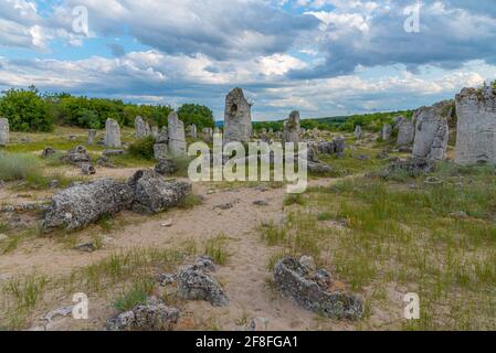 Steinwald in der Nähe von Varna, Bulgarien Stockfoto