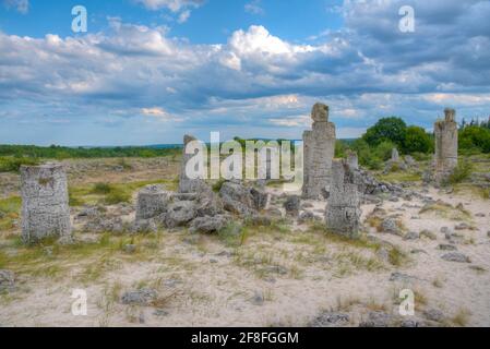 Steinwald in der Nähe von Varna, Bulgarien Stockfoto