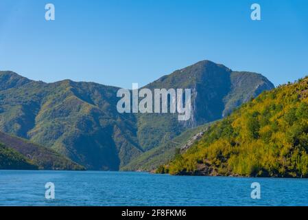 Schöne Landschaft von Koman See in Albanien Stockfoto