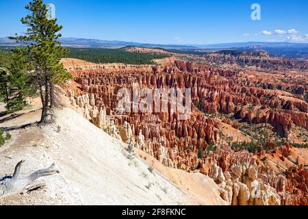 Inspiration Point Aussichtspunkt im Bryce Canyon National Park. Utah USA Stockfoto