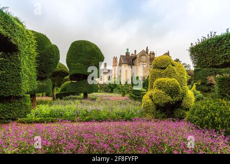 Älteste formgehölze Park in der Welt mit fantastisch geformten Pflanzen am Levens Hall in Cumbria, Großbritannien. Stockfoto