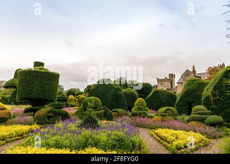 Älteste formgehölze Park in der Welt mit fantastisch geformten Pflanzen am Levens Hall in Cumbria, Großbritannien. Stockfoto