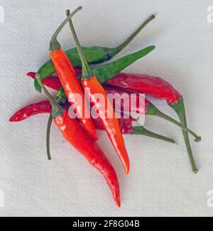 Chilischoten aus der Vogelperspektive, grüne und rote Chilischoten. Neutraler Hintergrund Stockfoto