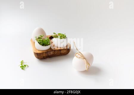 Grüne Sprossen in weißem Ei in Holzeikiste auf weißem Hintergrund. Selektiver Fokus, Kopierbereich. Eco-Konzept. Life Ostern Minimal Konzept. Stockfoto