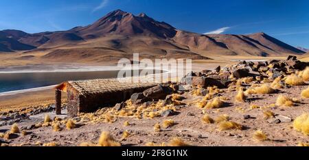 Vulkan Miscanti und Lagune hoch auf dem altiplano in der Atacama Wüste in der Antofagasta Region im Norden Chiles, Südamerika. Stockfoto