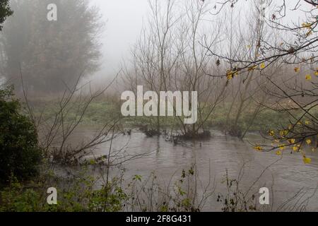 Die River Cam, die an einem nebligen Wintermorgen entlang der Trumpington Meadows verläuft. Cambridge, Großbritannien Stockfoto