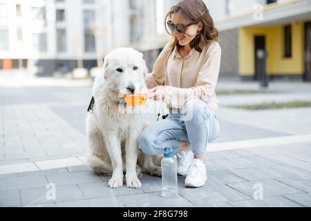 Frau hält eine Schüssel und gibt ihrem großen weißen Hund Wasser, während sie auf ihren Füßen im Hof der Residenz sitzt. Tierpflege, Tierliebhaber. Durstiger Hund im heißen Sommer Stockfoto
